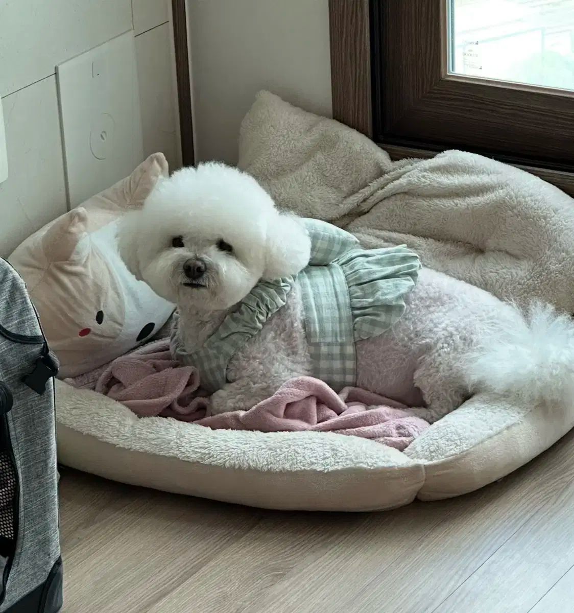 石原裕次郎メモリアルオレンジカード豪華セット10枚セット Yahoo