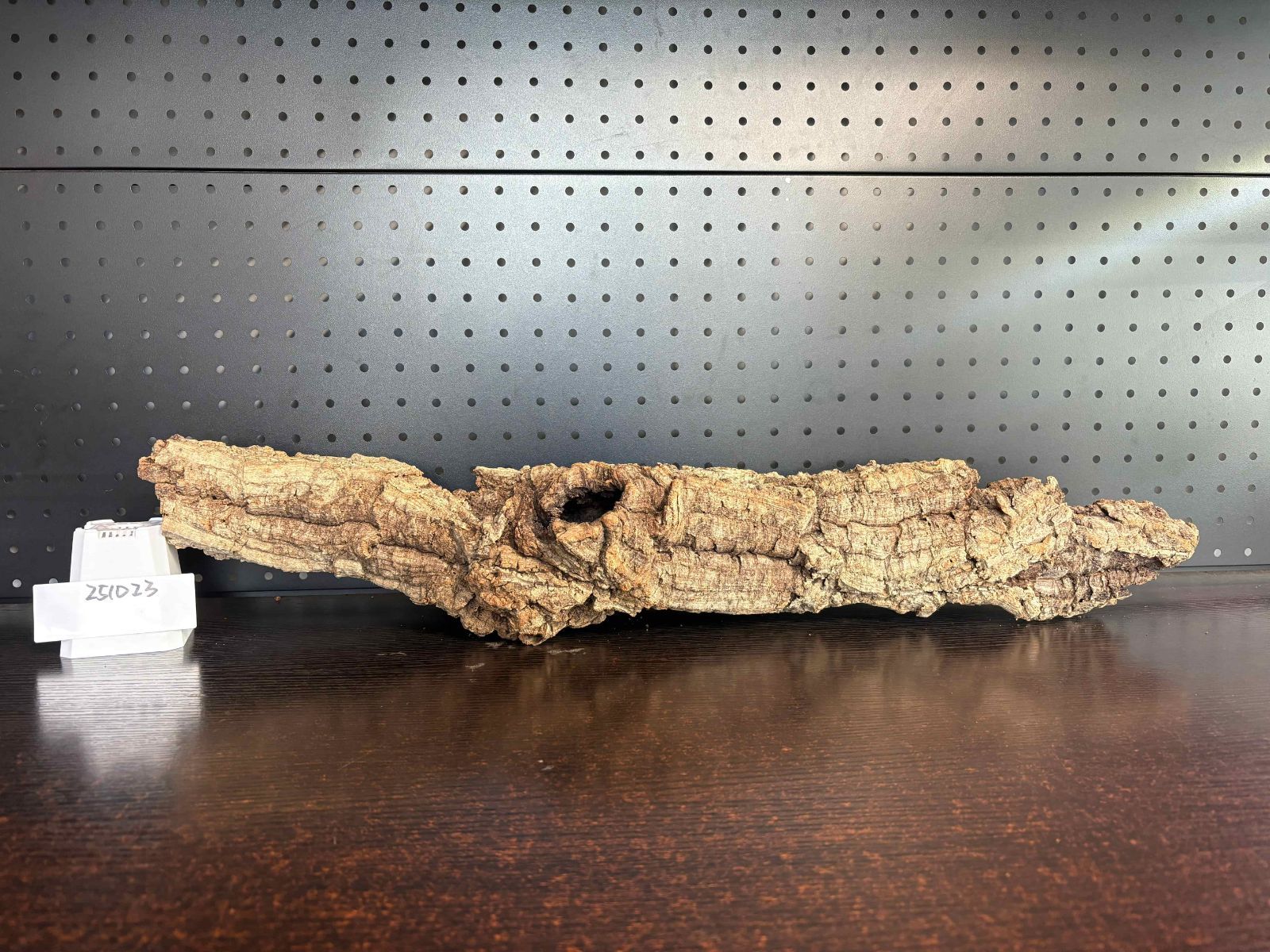 251023 ポルトガル産 キャノンコルク コルク樹皮 コルク板 バージン