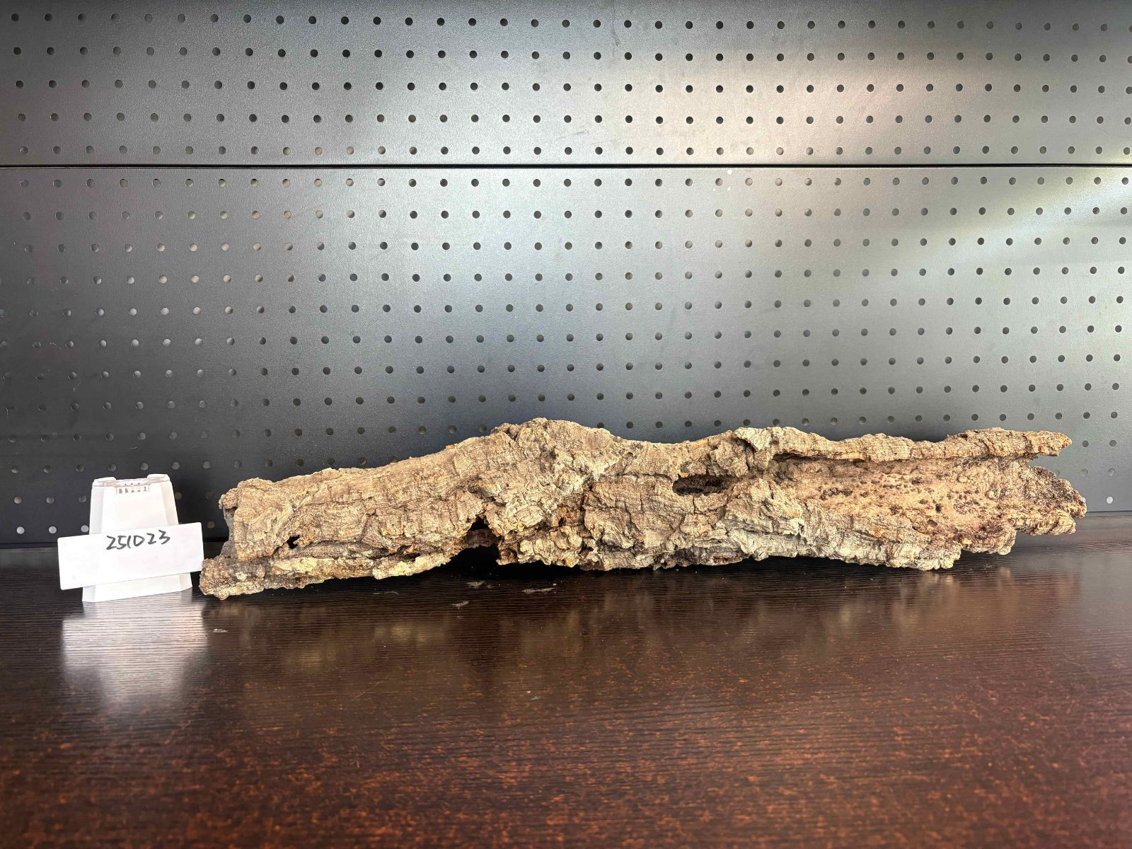 251023 ポルトガル産 キャノンコルク コルク樹皮 コルク板 バージンコルク チランジア ビカクシダ 着生ラン 両生類 爬虫類