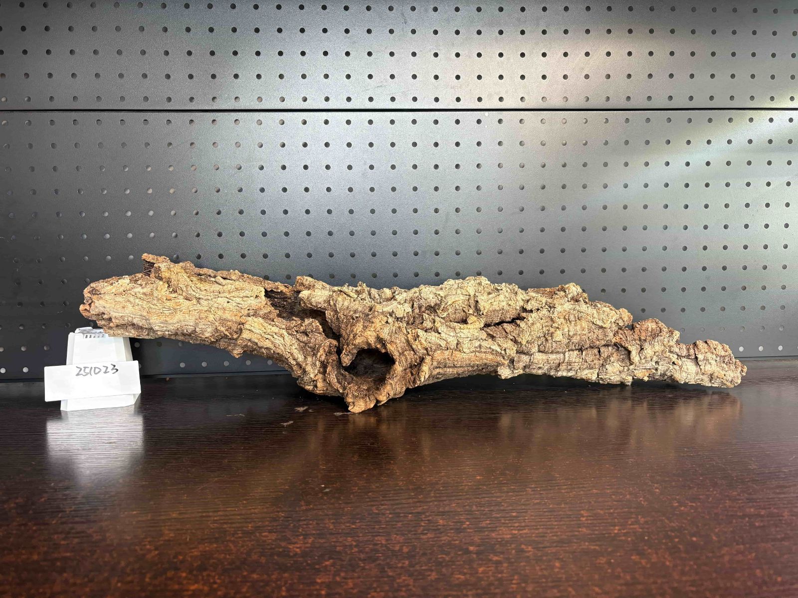 251109 ポルトガル産 キャノンコルク コルク樹皮 コルク板　バージンコルク D028 ポルトガル産 キャノンコルク コルク樹皮 コルク板 バージンコルク