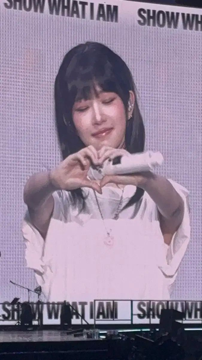 IVE LINE FRIENDS さくらんぼ さくらんぼっち フードケープ ペンライト カバー