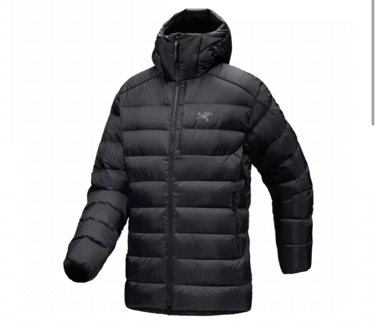 ARC TERYX アークテリクス Thorium Hoody Sサイズ ブラン