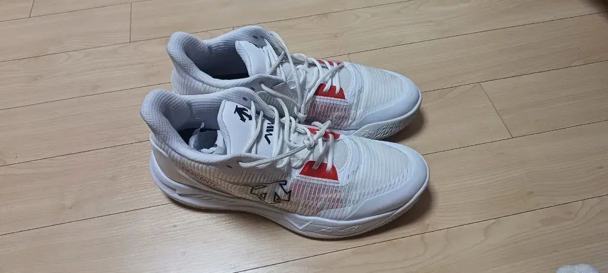 285 DESCENTE デサント バスケシューズ スラッシャーZ