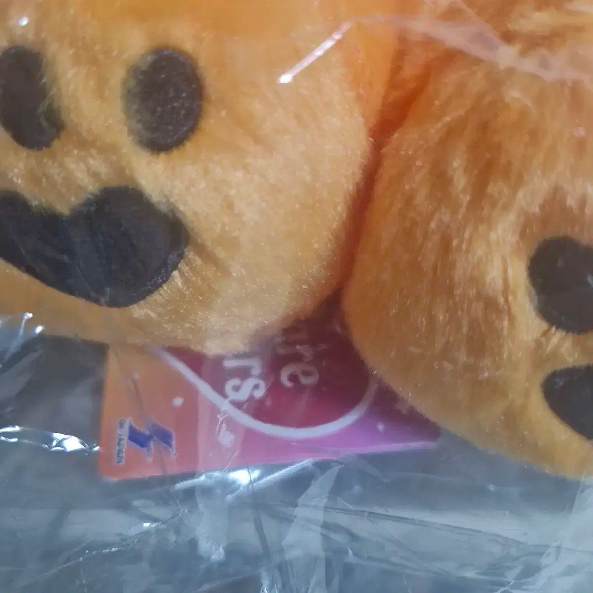  日本 ハロウィーン ケアベアぬいぐるみ 45 cm その他 ベビー キッズおもちゃ