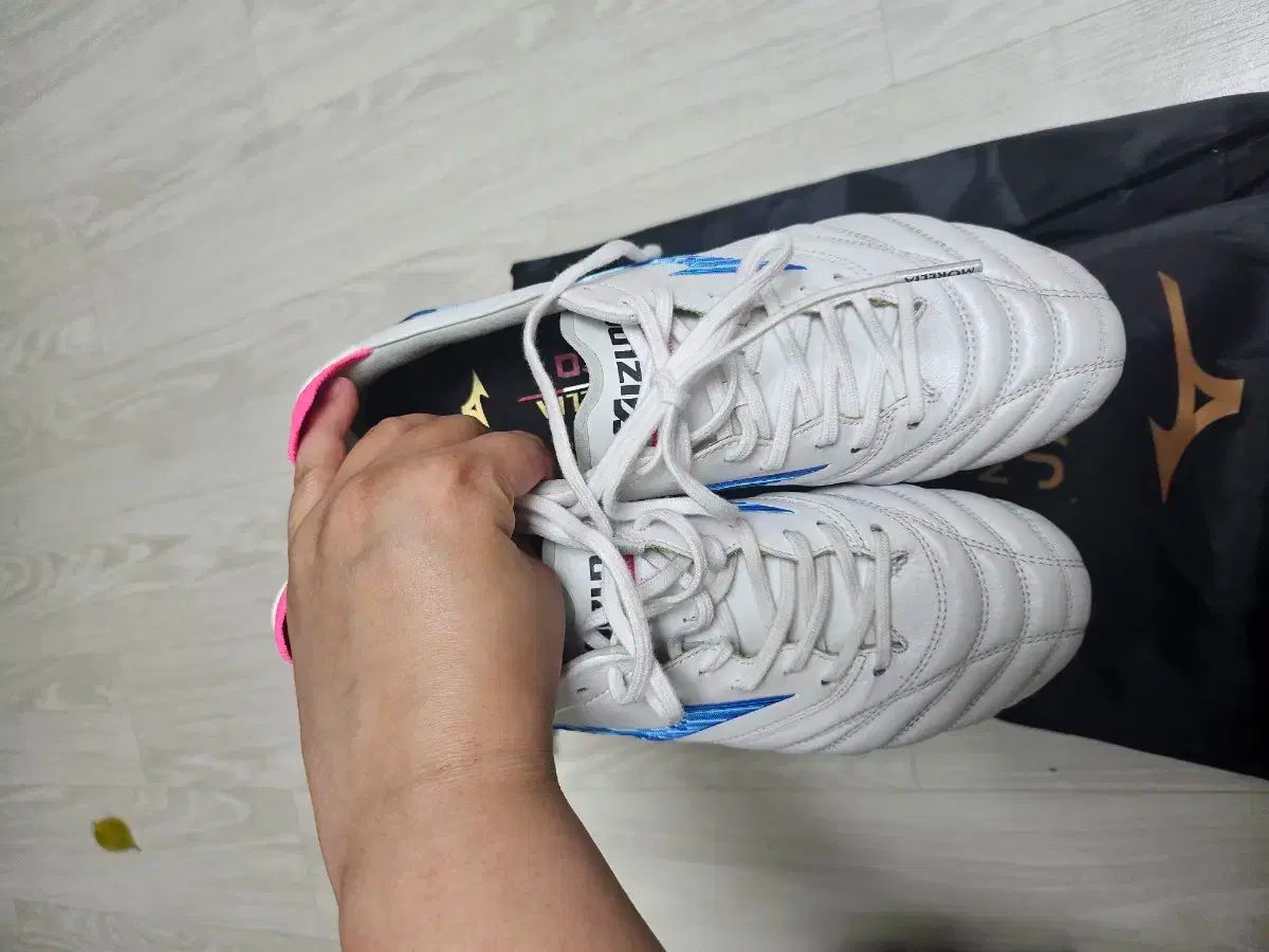 ミズノ モレリア