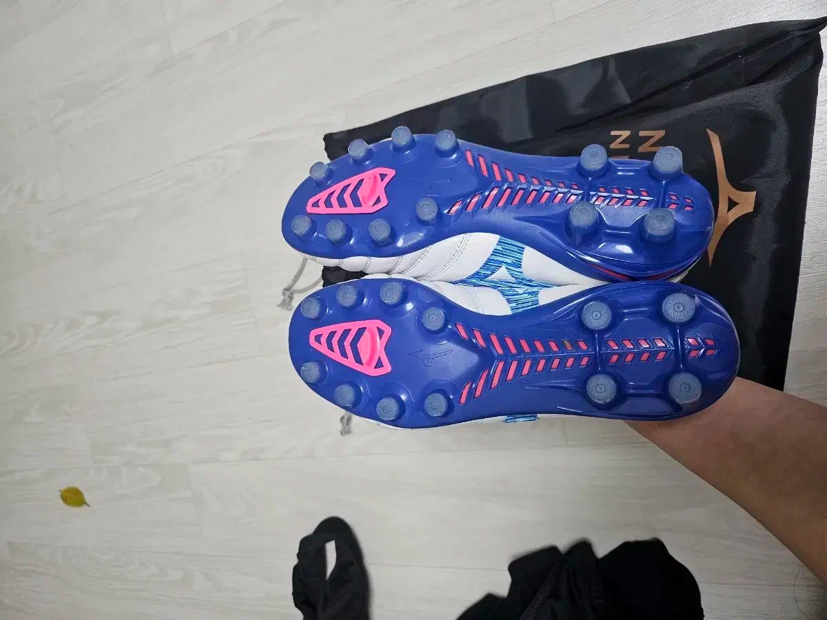 ミズノ モレリア