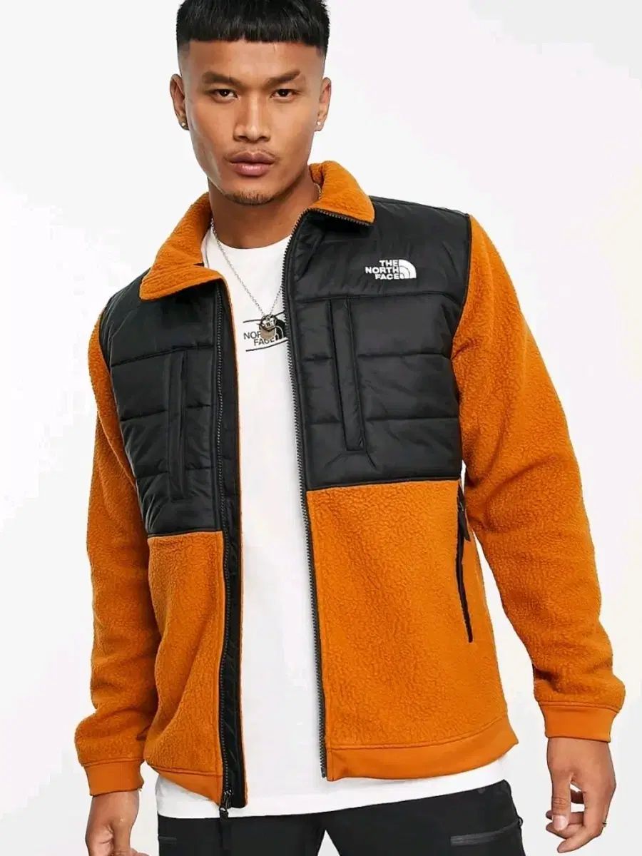 海外モデル ポーラテック