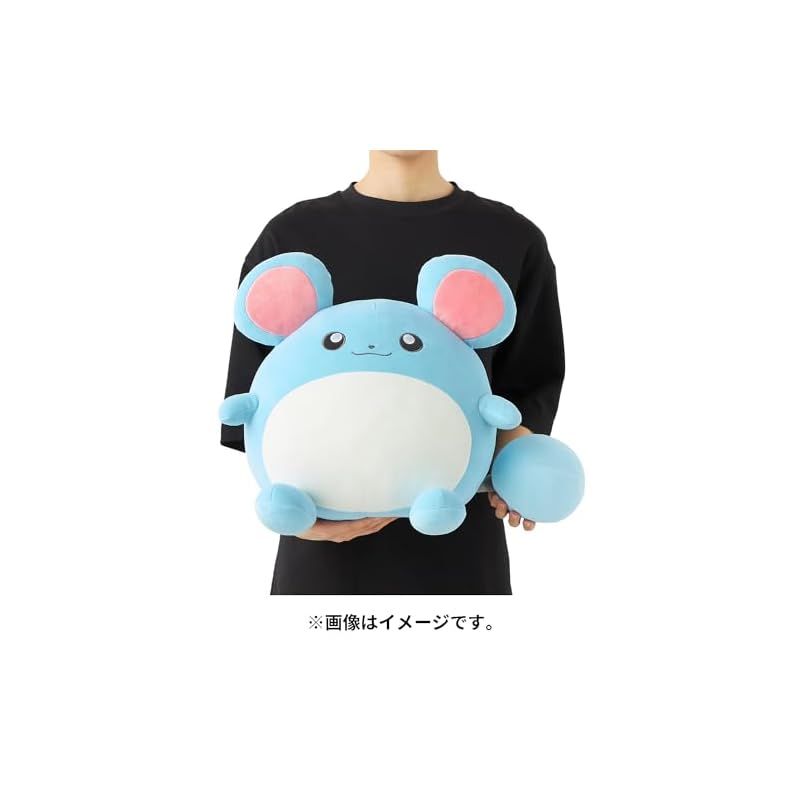 ポケモンセンターオリジナル もっちりっちぬいぐるみ