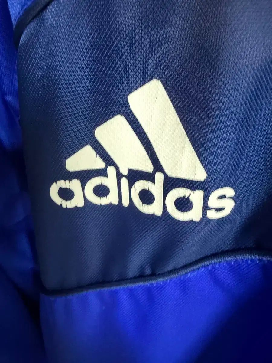 水原三星ブルーウィングス