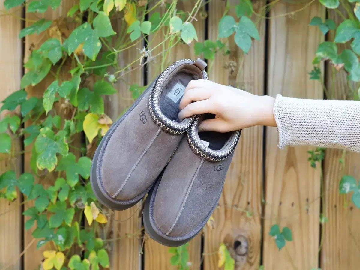 アグ タズ tazz フラットフォーム hickory