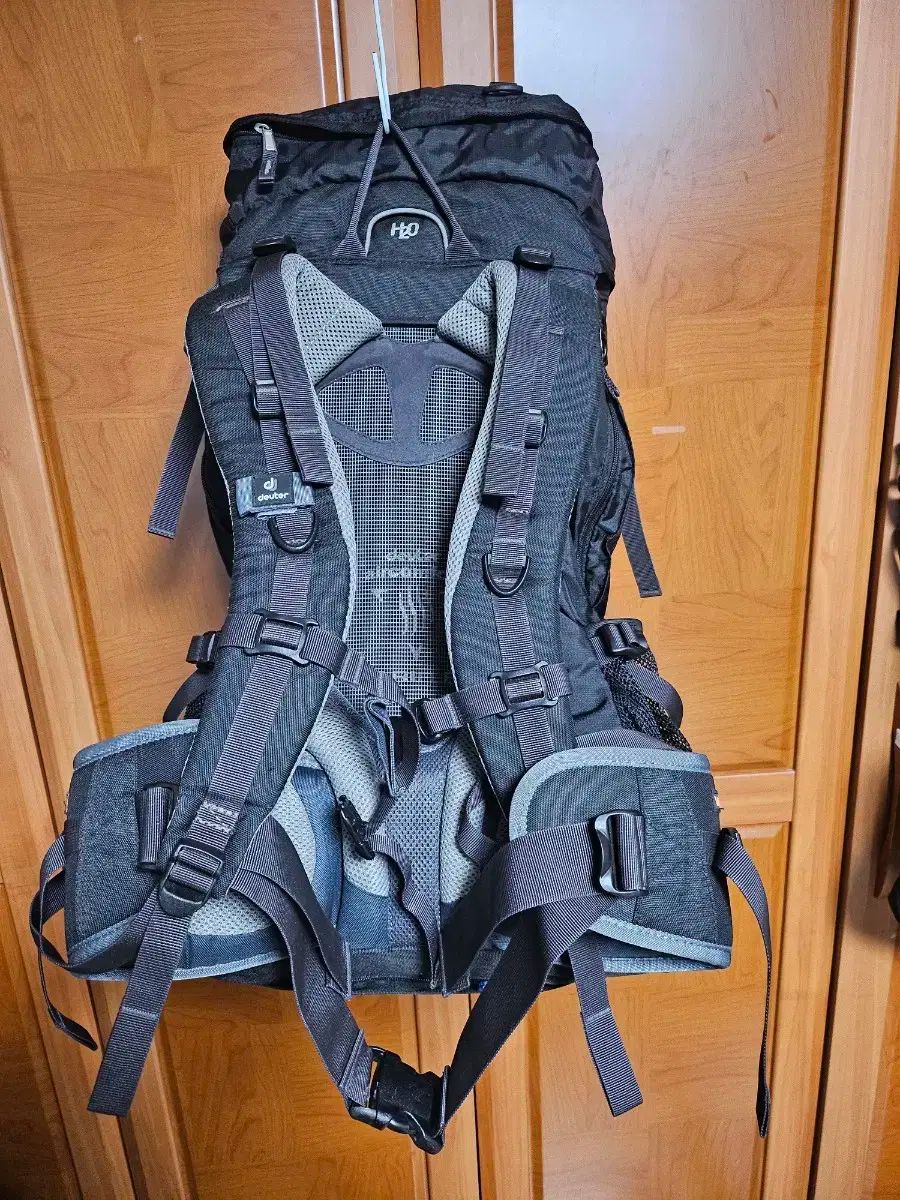 ドイター Futura Pro 38 登山 リュック