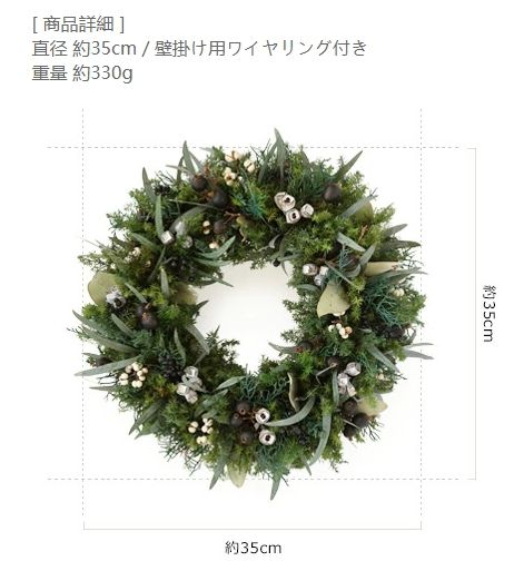  リース プリザーブドフラワー グリーンリース オールシーズン 玄関 飾り ドア 特大 lサイズ おしゃれ ドライフラワー プレゼント ギフト 開店祝い 開業祝い カフェ グリーン 花 北欧インテリア 店舗 装飾 ディスプレイ 北欧 おしゃれ上品 クリスマスリース クリスマス