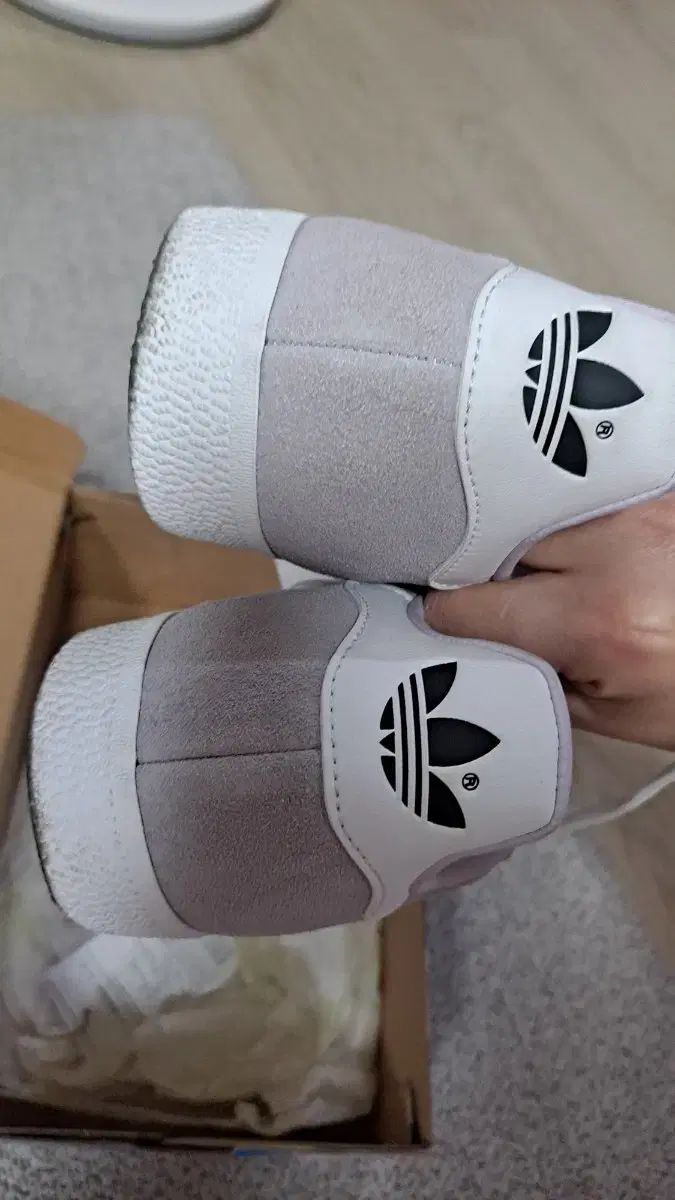 ガゼル ラベンダー