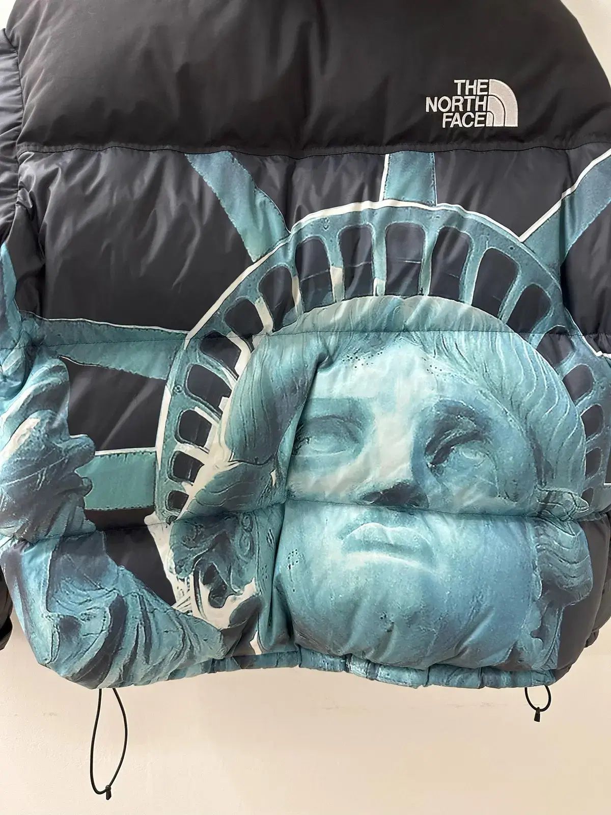 Supreme x THE NORTH FACE ザノースフェイス 自由の女神 발토로