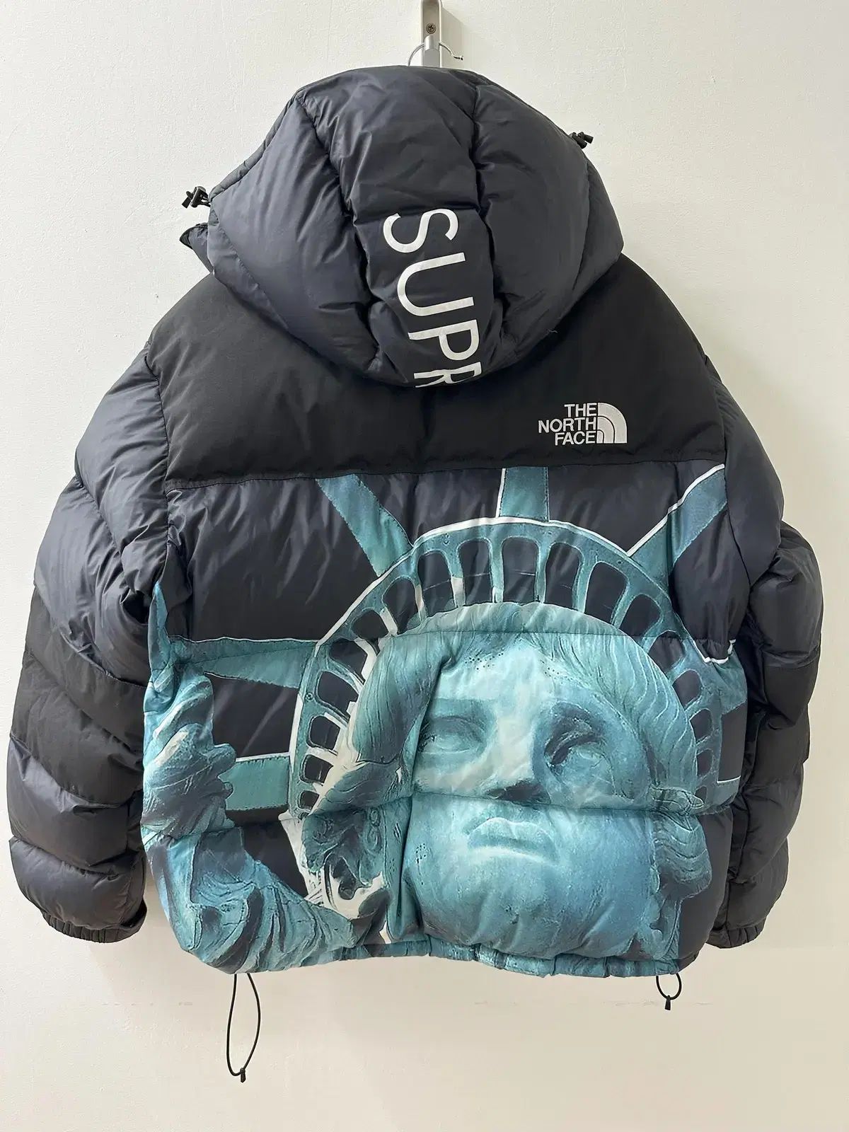 Supreme x THE NORTH FACE ザノースフェイス 自由の女神 발토로