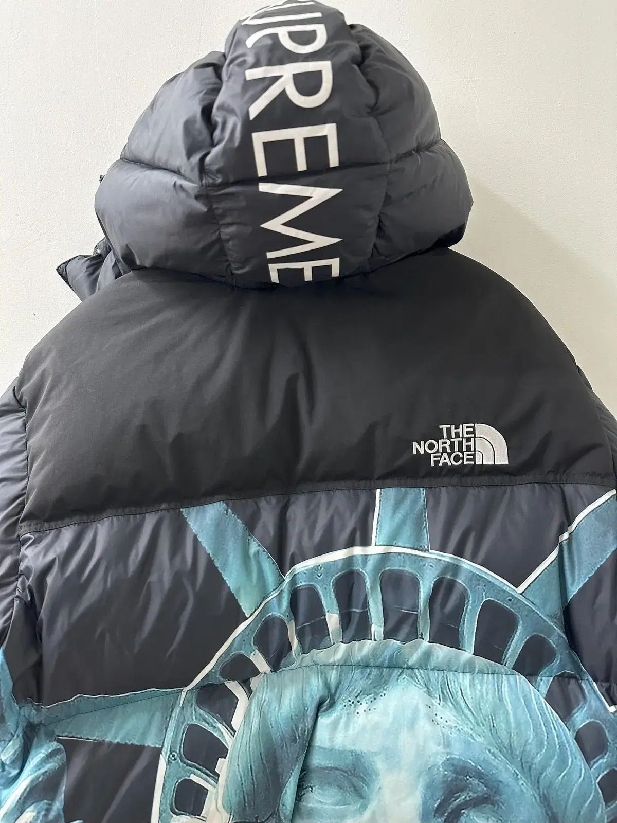 Supreme x THE NORTH FACE ザノースフェイス 自由の女神 발토로