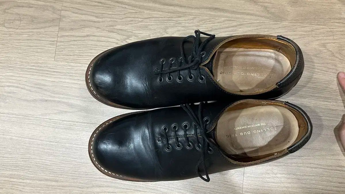 ロールリングダブトリオ ホエール