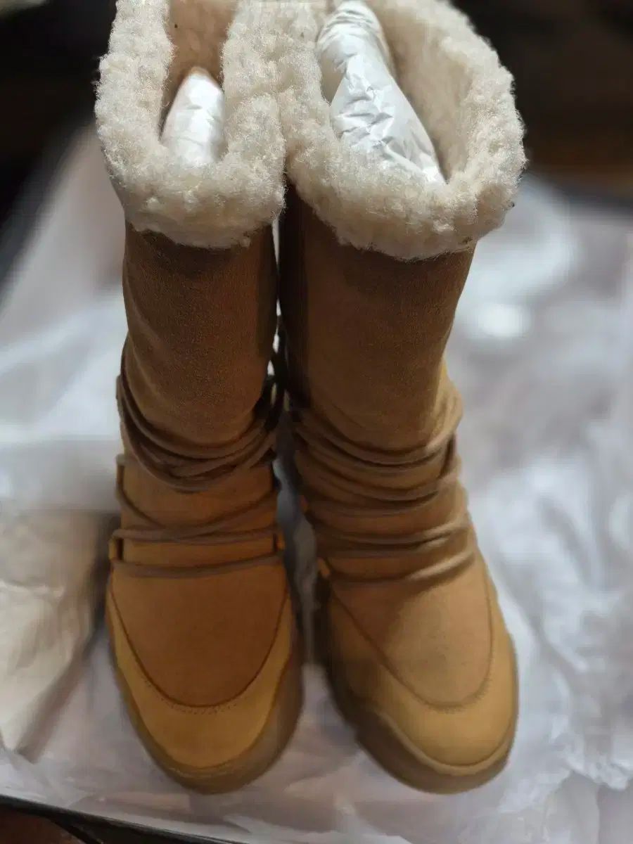  ラブ モスキーノ キャメル 冬 ブーツ 230 その他 ブーツ