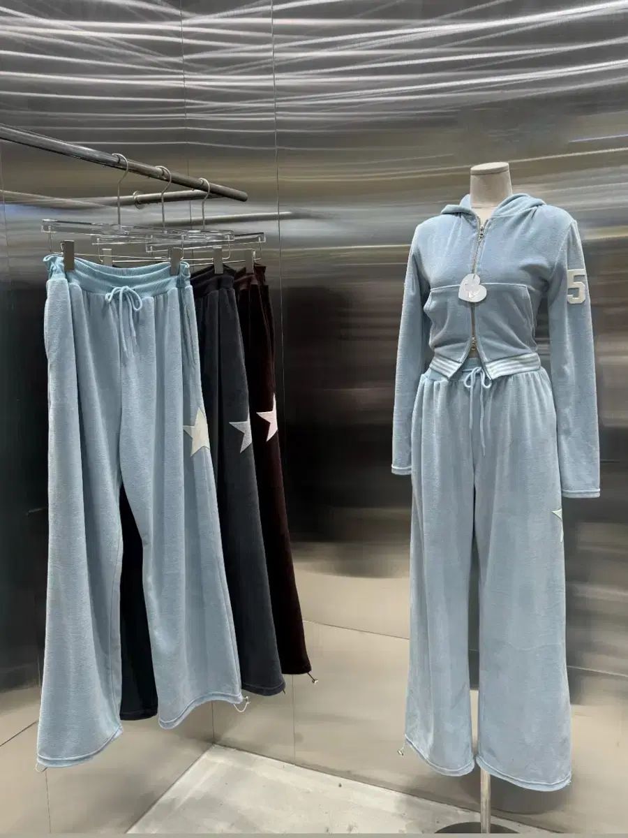 スター トレーナー