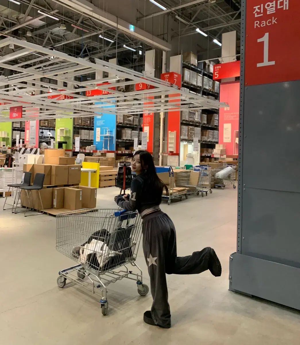 ジェイコールン ツアーベルベット スター トレーナー セット チャコール