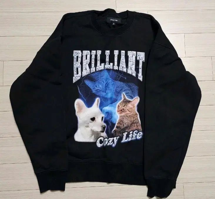 アンダーソンズ DAY6 デイシックス 姫宮 桃李 ひめみや とり と数 かず のセットアップスウェット M