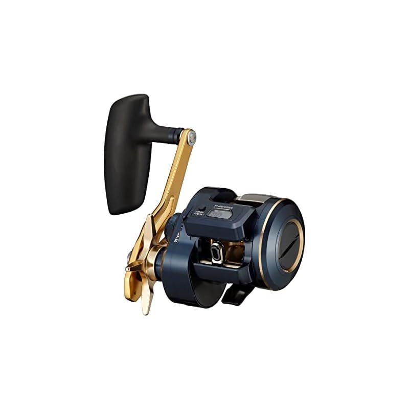 ダイワ DAIWA 21 ソルティガIC 300 H-SJ