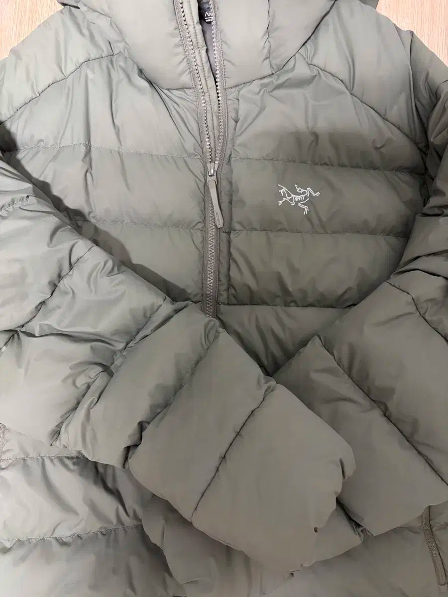 アークテリクス トーリウム フーディ ポリッジ L サイズ