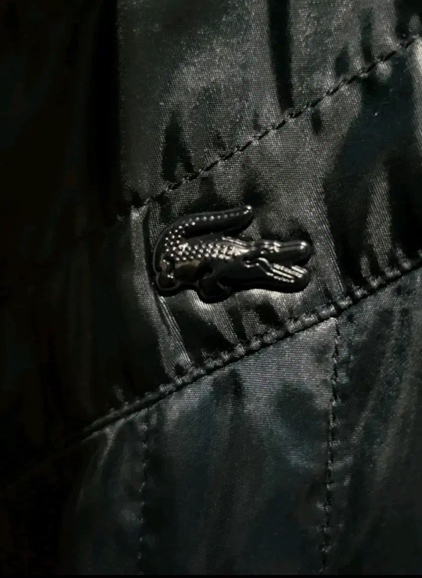 ラコステ キルティングジップアップ 66 GULLKHAN_COM