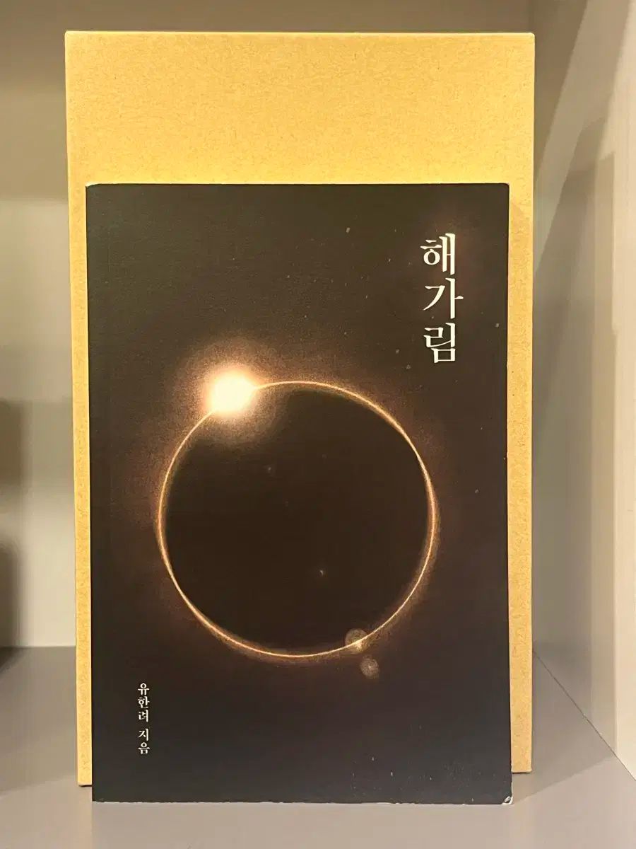 ネット小説の法則 1-16巻 12巻 モデル 15巻 16巻