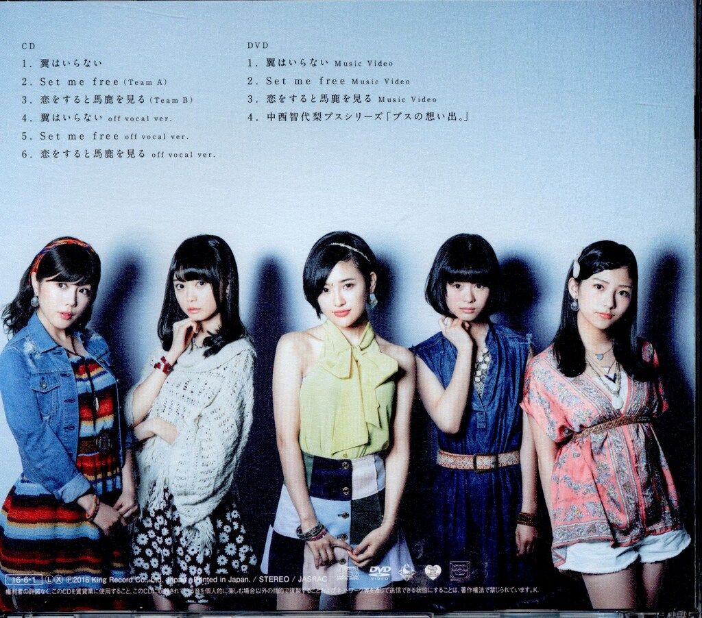 AKB48 翼はいらない 初回生産限定盤 TYPE-A - メルカリ