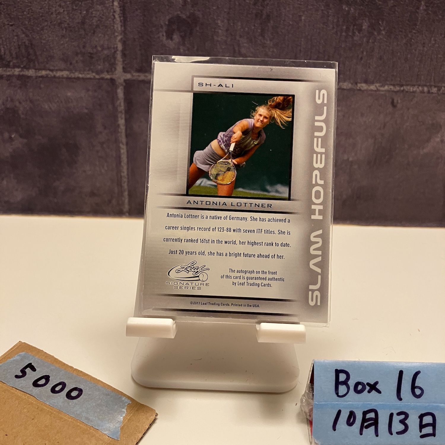 2017 Leaf Signature Series Antonia Lottner 11/15 直筆サインカード