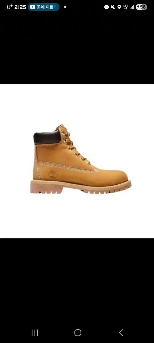 ティンバーランド 6インチ ブーツ 255