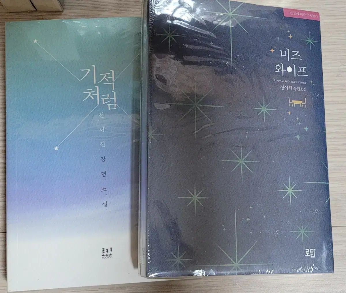  ロマンス小説 ㅡ ファン ハンヨン 個人誌 文学 小説 本