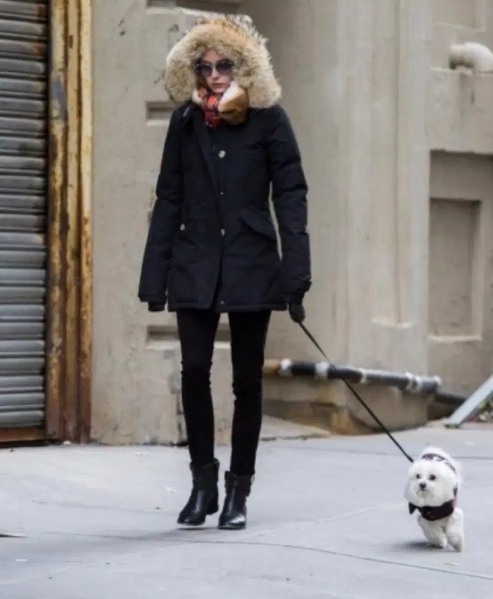 コンディショングッド