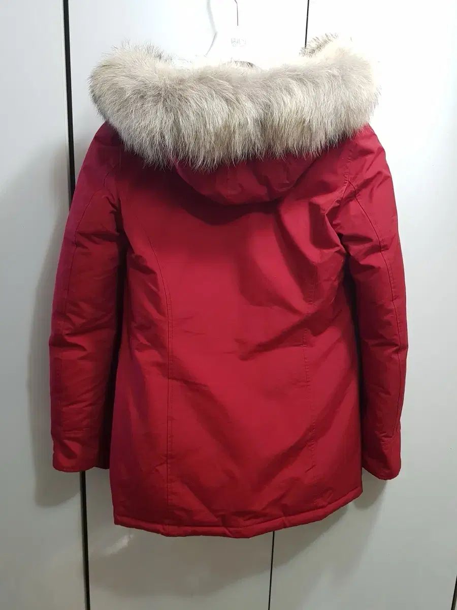 XS コンディショングッド