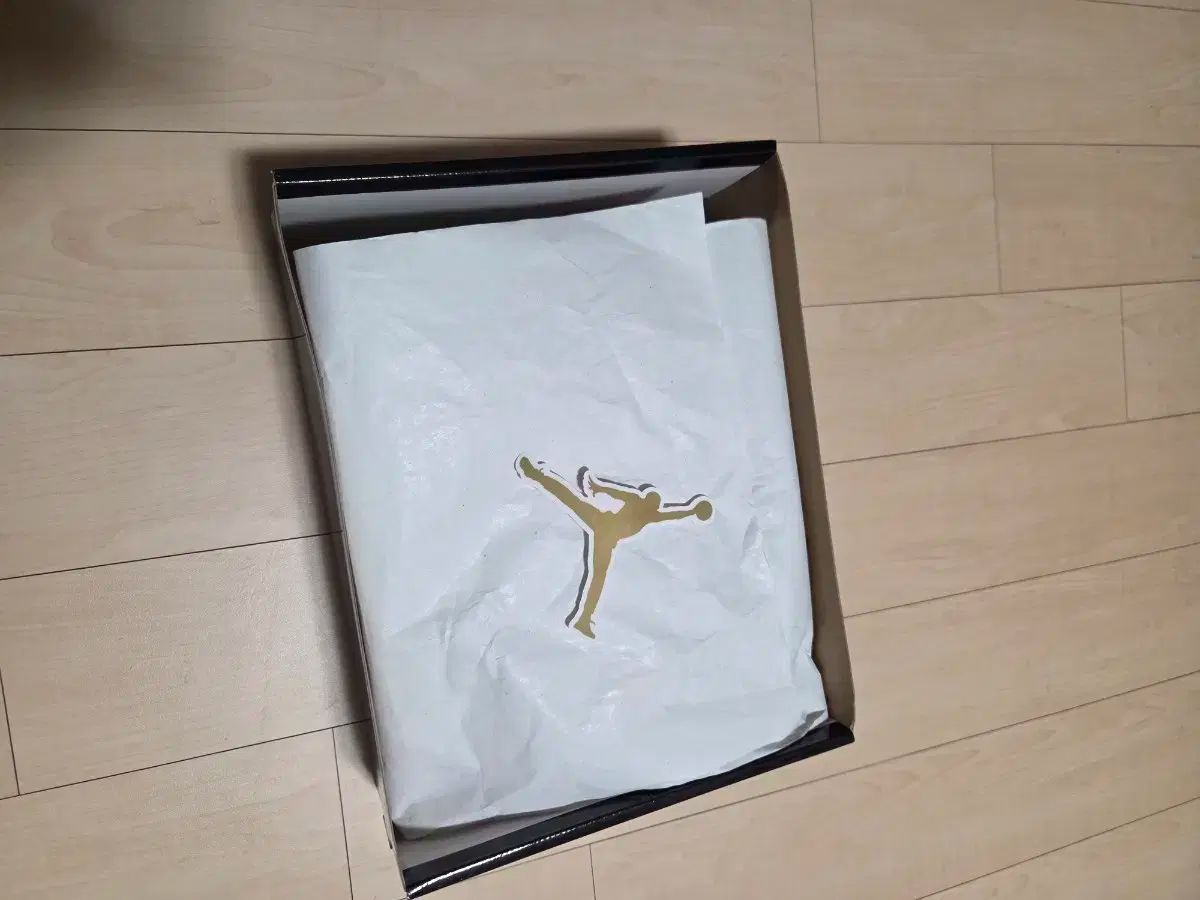 ナイキ ジョーダン1 レトロ ハイ OG パテント ブレーザー ブレッド 225 サイズ