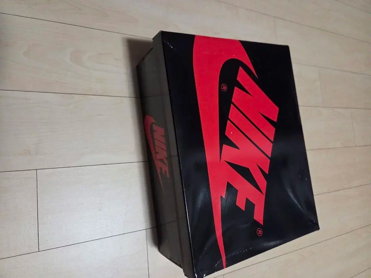 ナイキ ジョーダン1 レトロ ハイ OG パテント ブレーザー ブレッド 225 サイズ