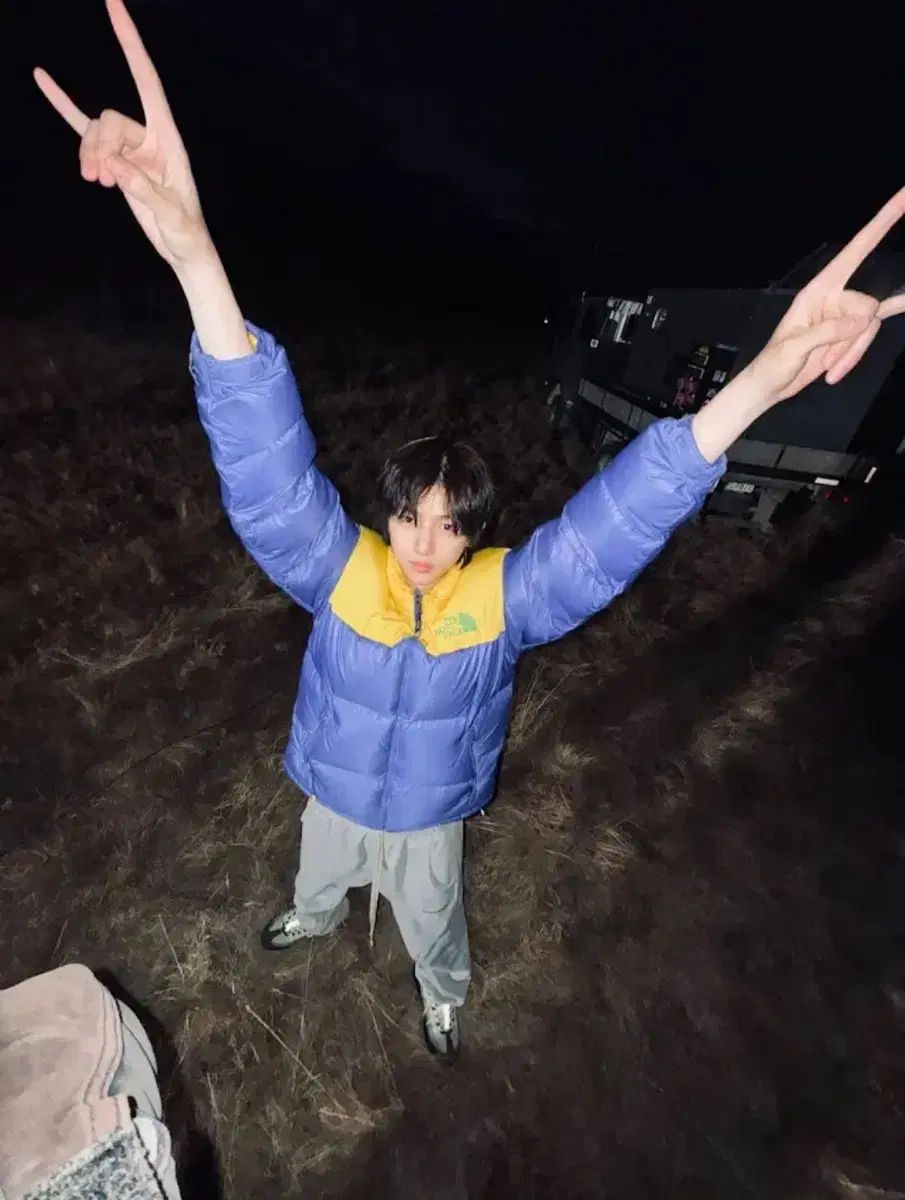 THE NORTH FACE ザノースフェイス 700 ダウン