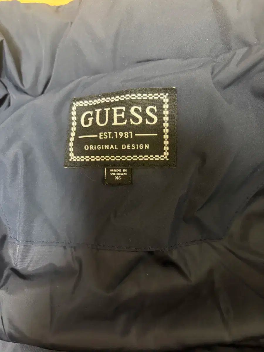 スジ GUESS