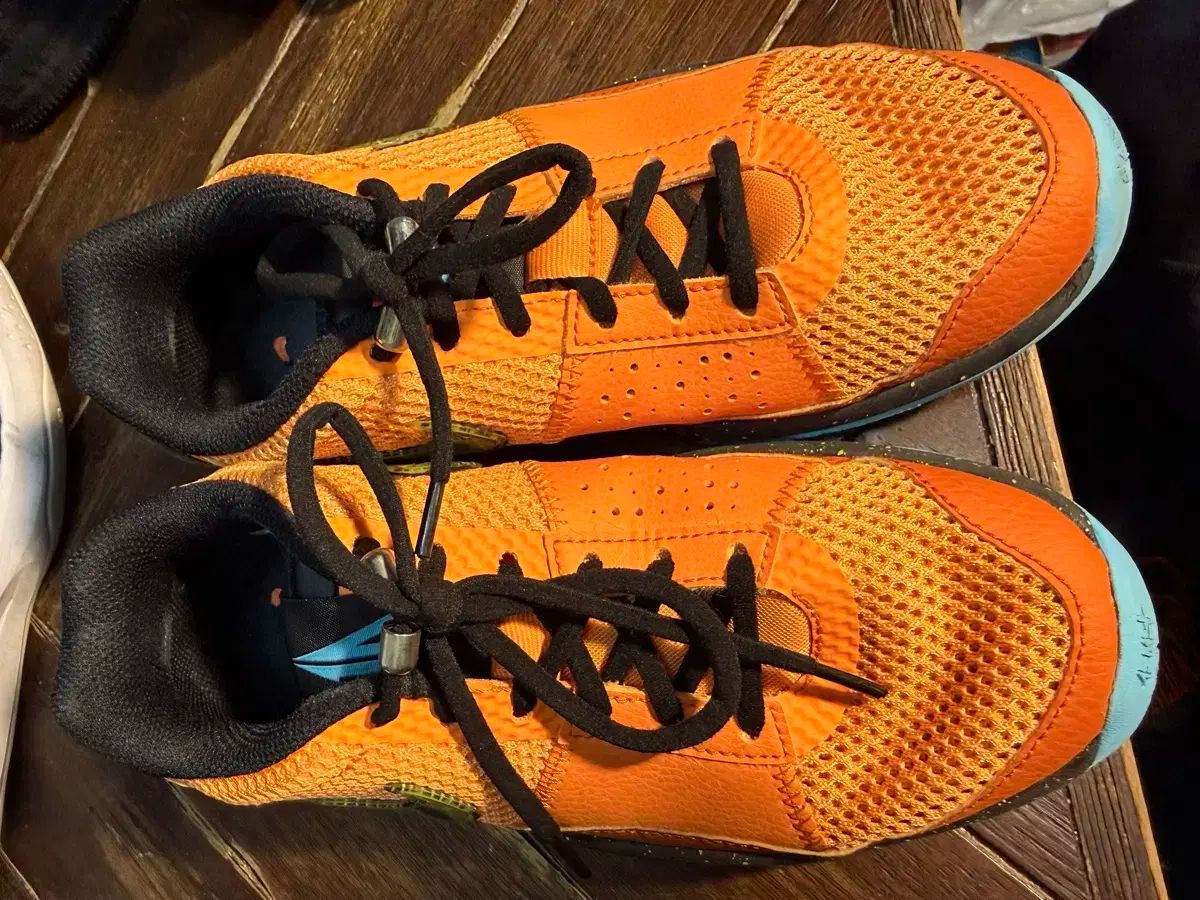 NIKE ザ 1 GS ジュニア バスケシューズ