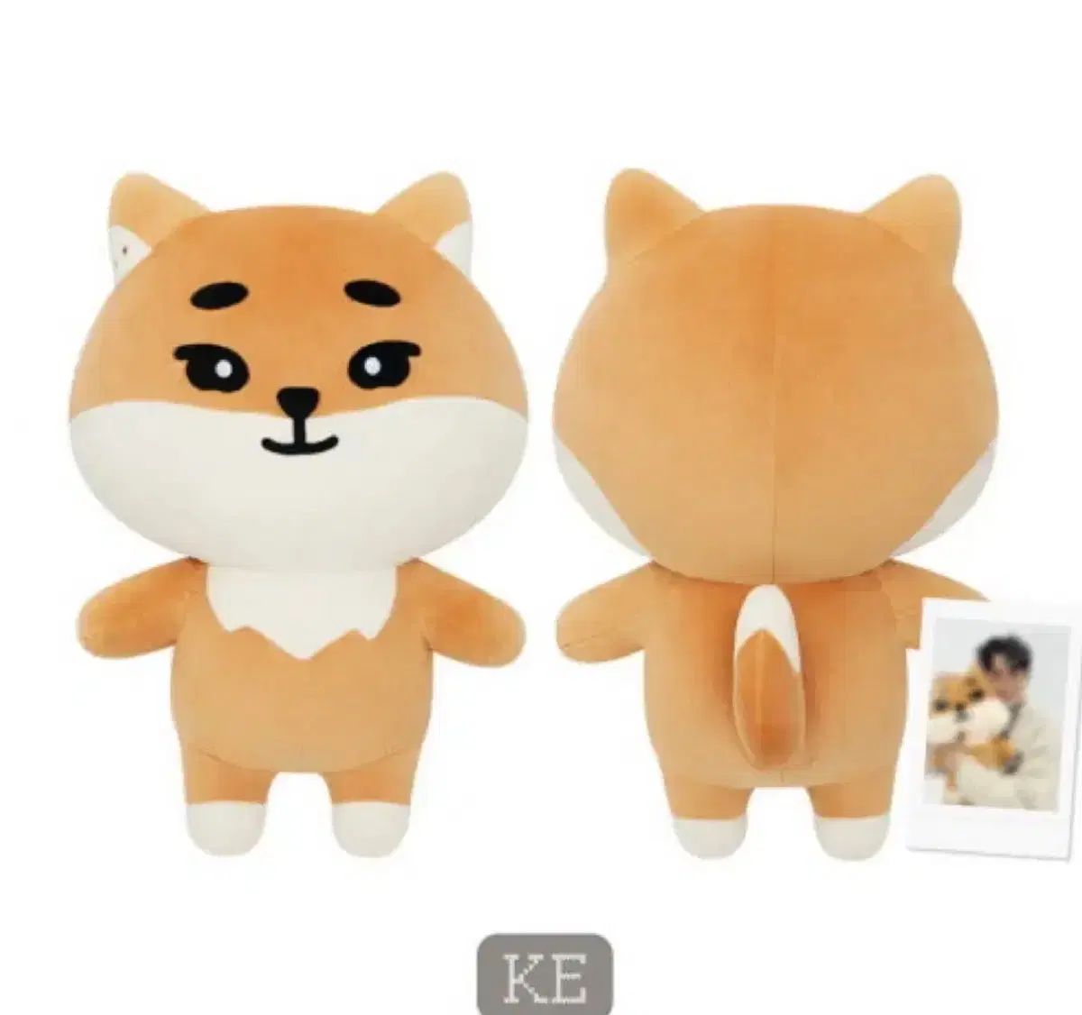 DAY6 デイシックス ジャイアント デニマルズ DENIMALZ タートルネック 特典 ke ke フルセット