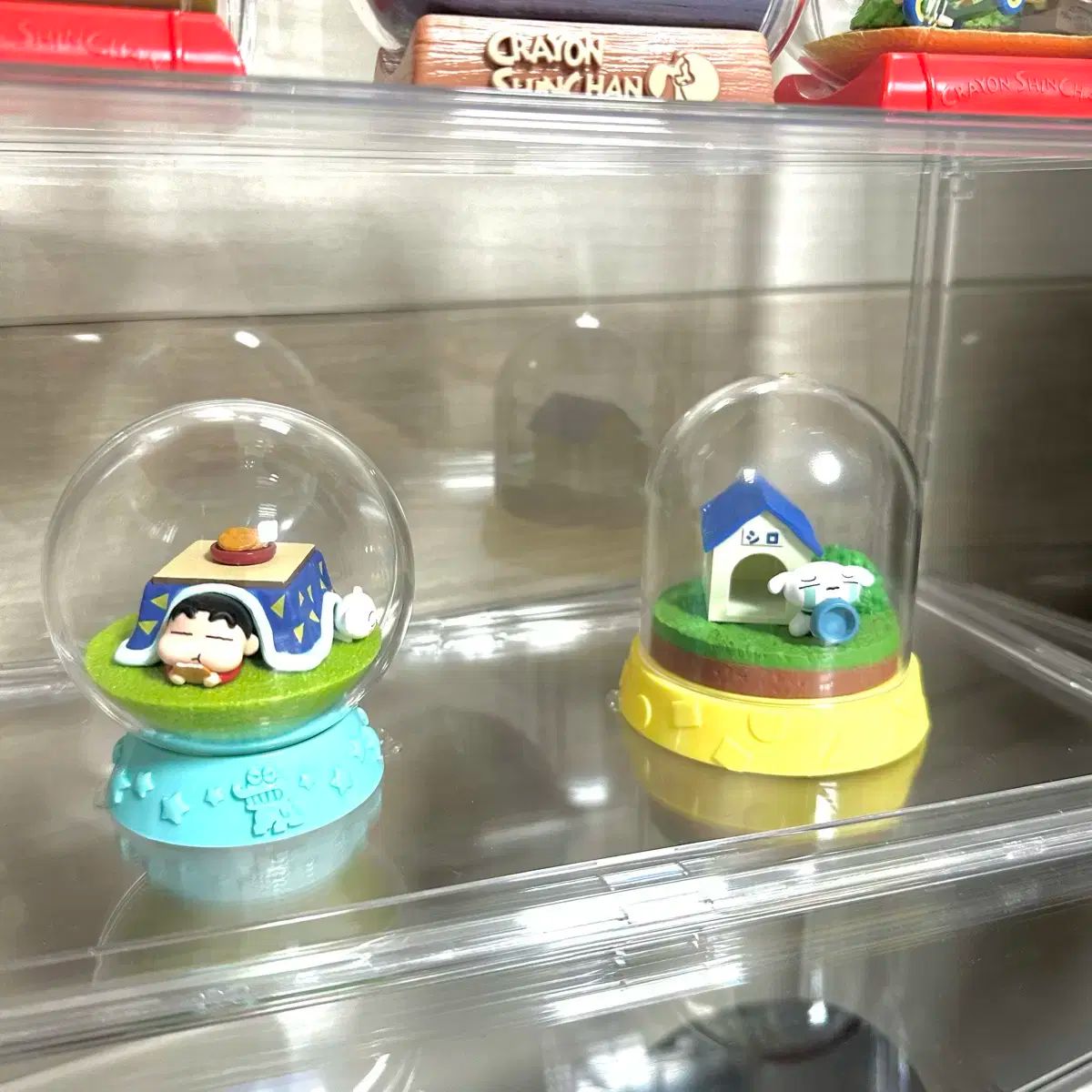 クレヨンしんちゃん テラリウム