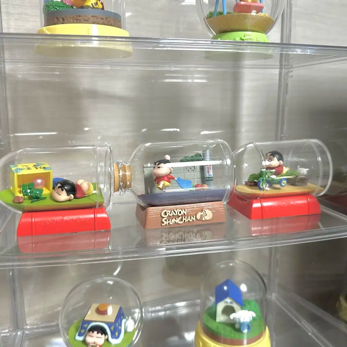 クレヨンしんちゃん テラリウム