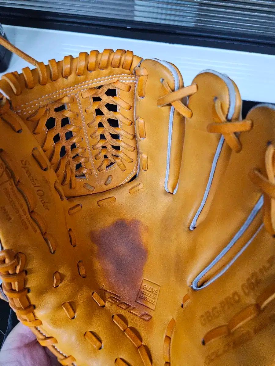 ゴールドグローブ アン チホン モデル