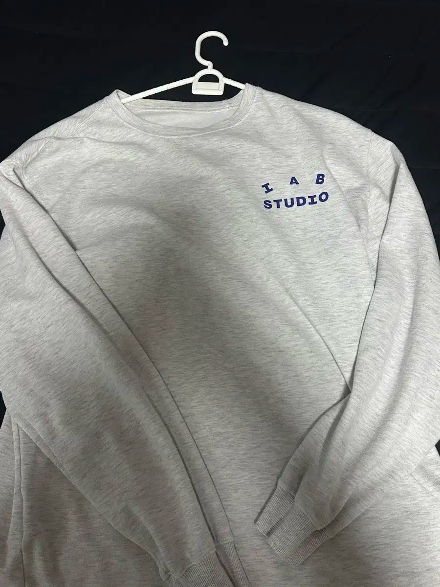 IAB アイエプスタジオ ロングスリーブ L ライト グレー