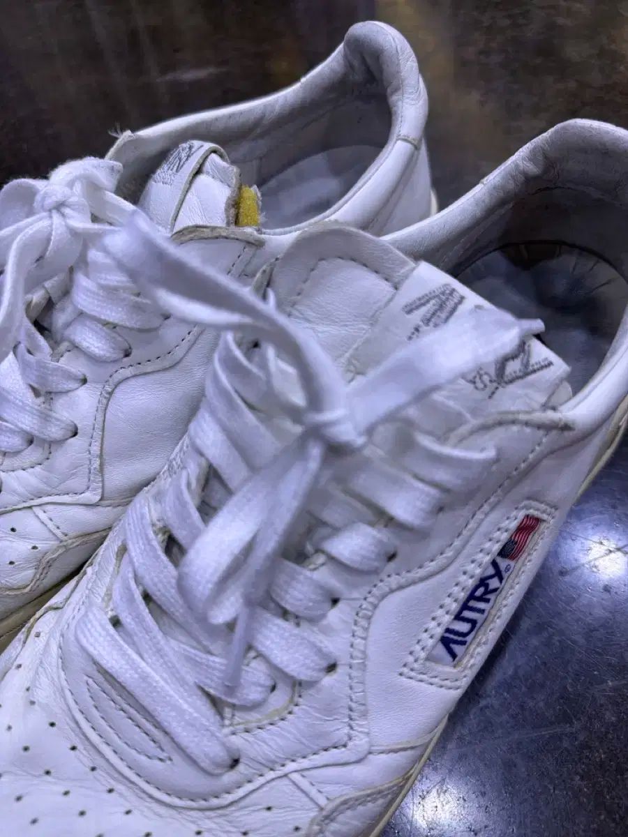 メダリスト ゴートスキン