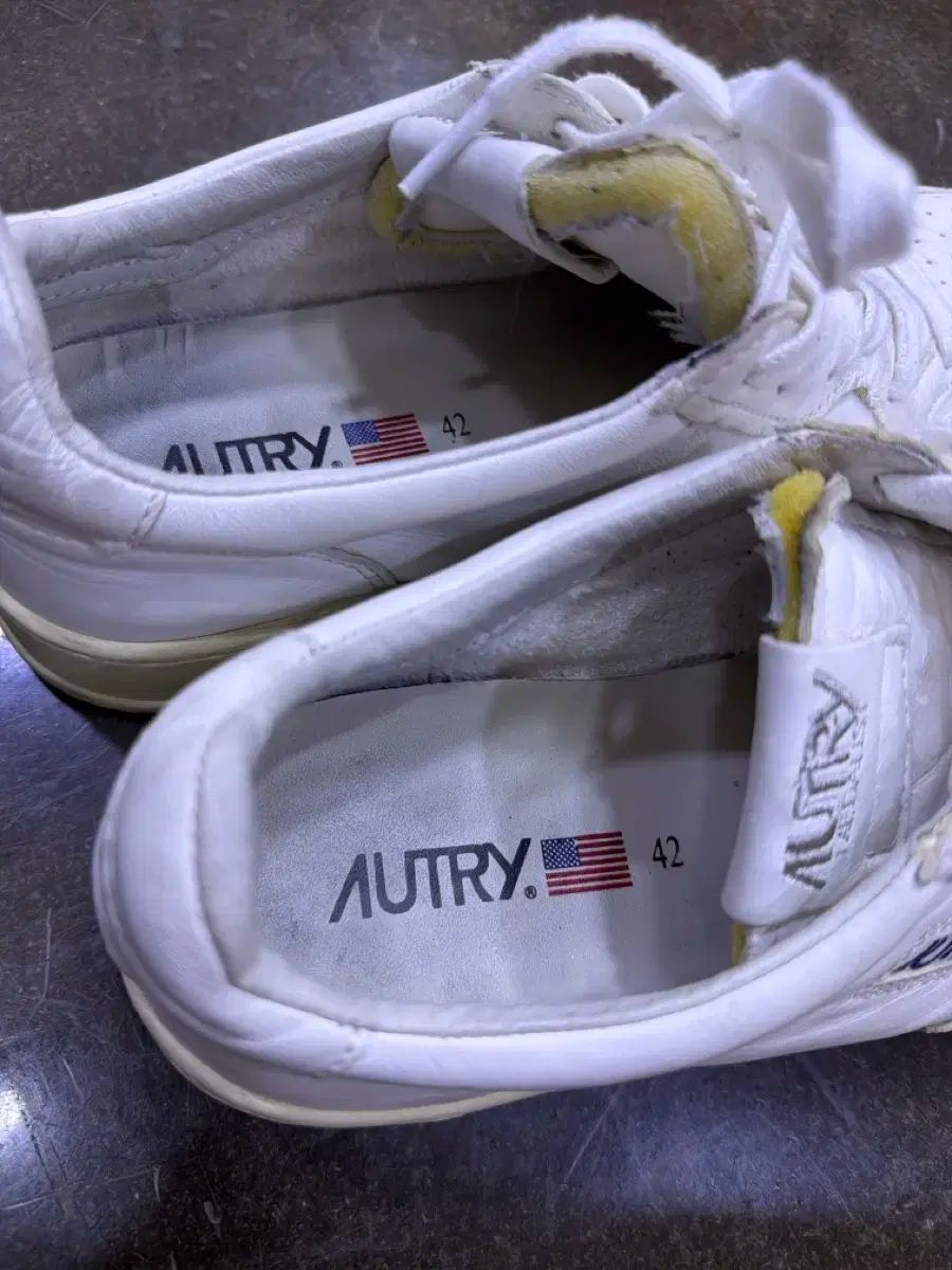 メダリスト ゴートスキン