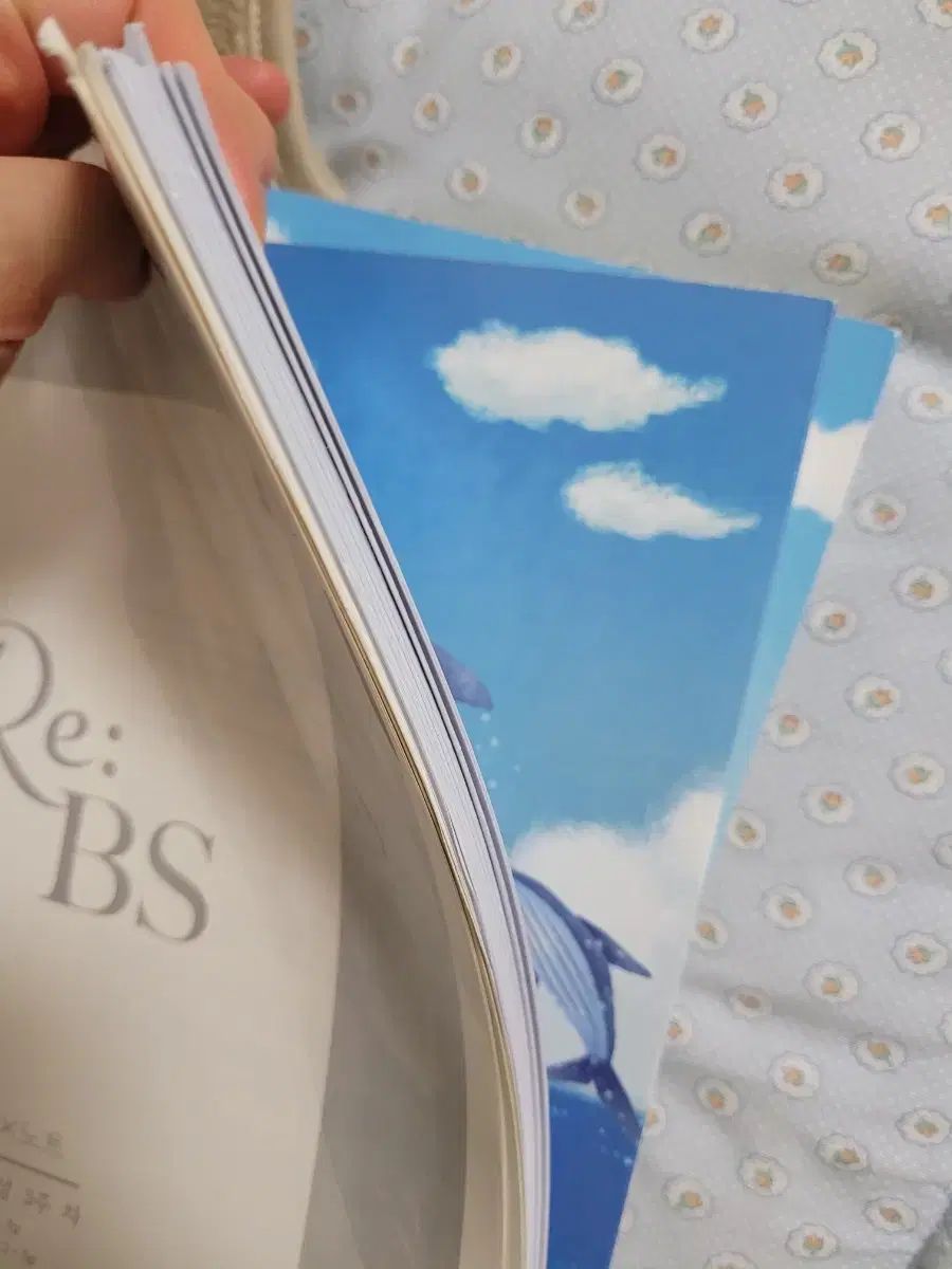 カングンヤン リーベスト 受験能力試験完成 受験能力試験特講 文学 3巻 現場 資料まとめ