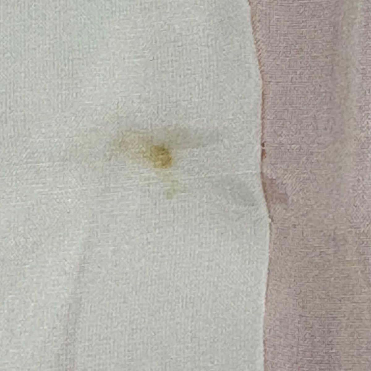 身丈157.5cm 裄丈64.5cm