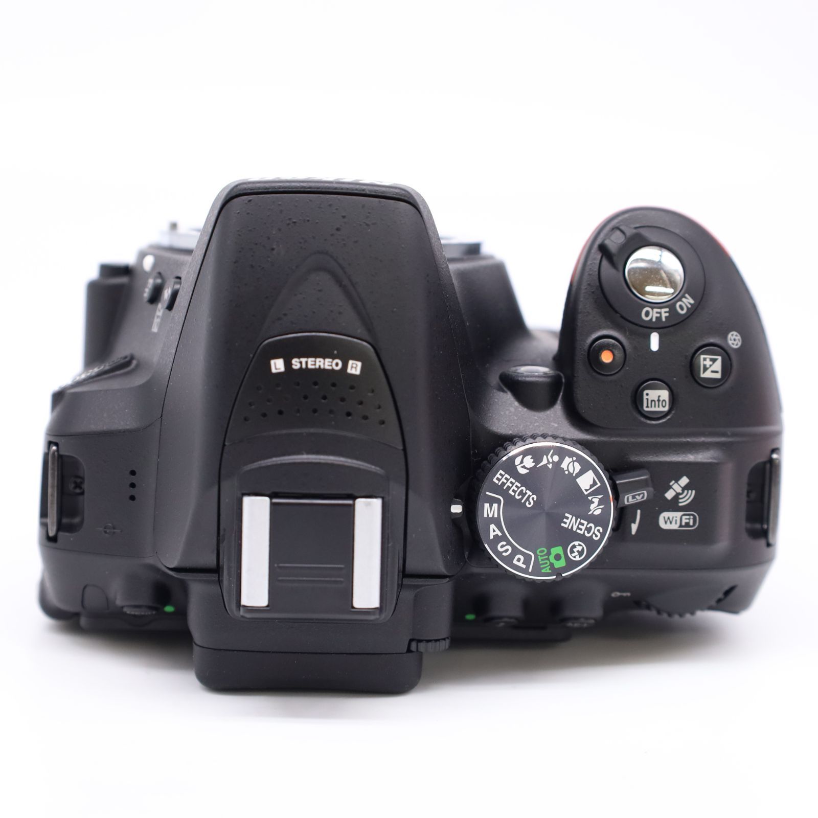 ボディ 人気モデル